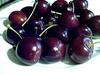 Cherries