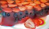 Terrine4