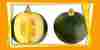 Gem_squash