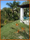 Saview_1
