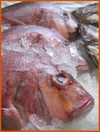 Fish_2