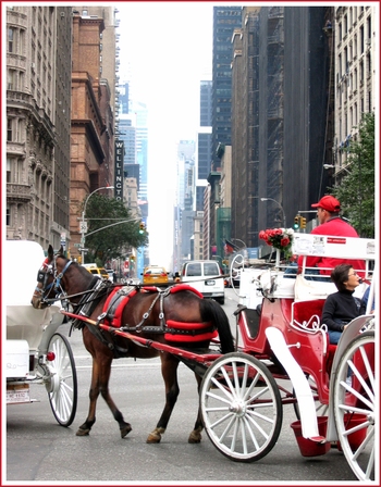 20061018_horsebuggy