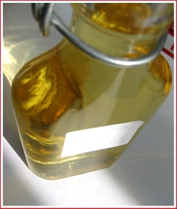 20070601_ebbp_limoncello