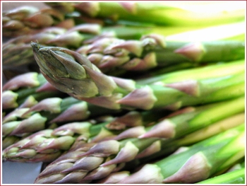 20070512_asparagus2e