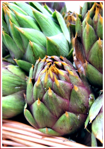 Artichokes
