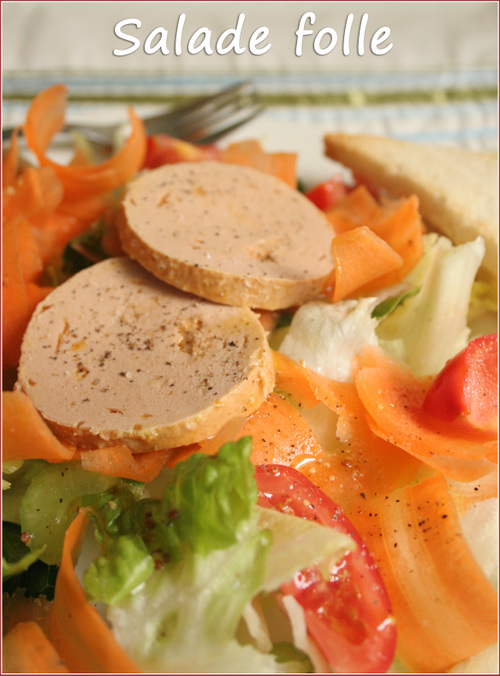 20080504_saladefollev