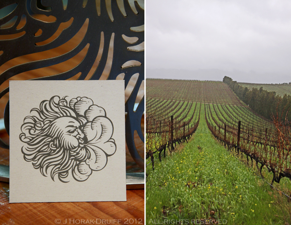 Post image for Waterkloof winery, South Africa