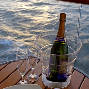 The Celebrity Reflection