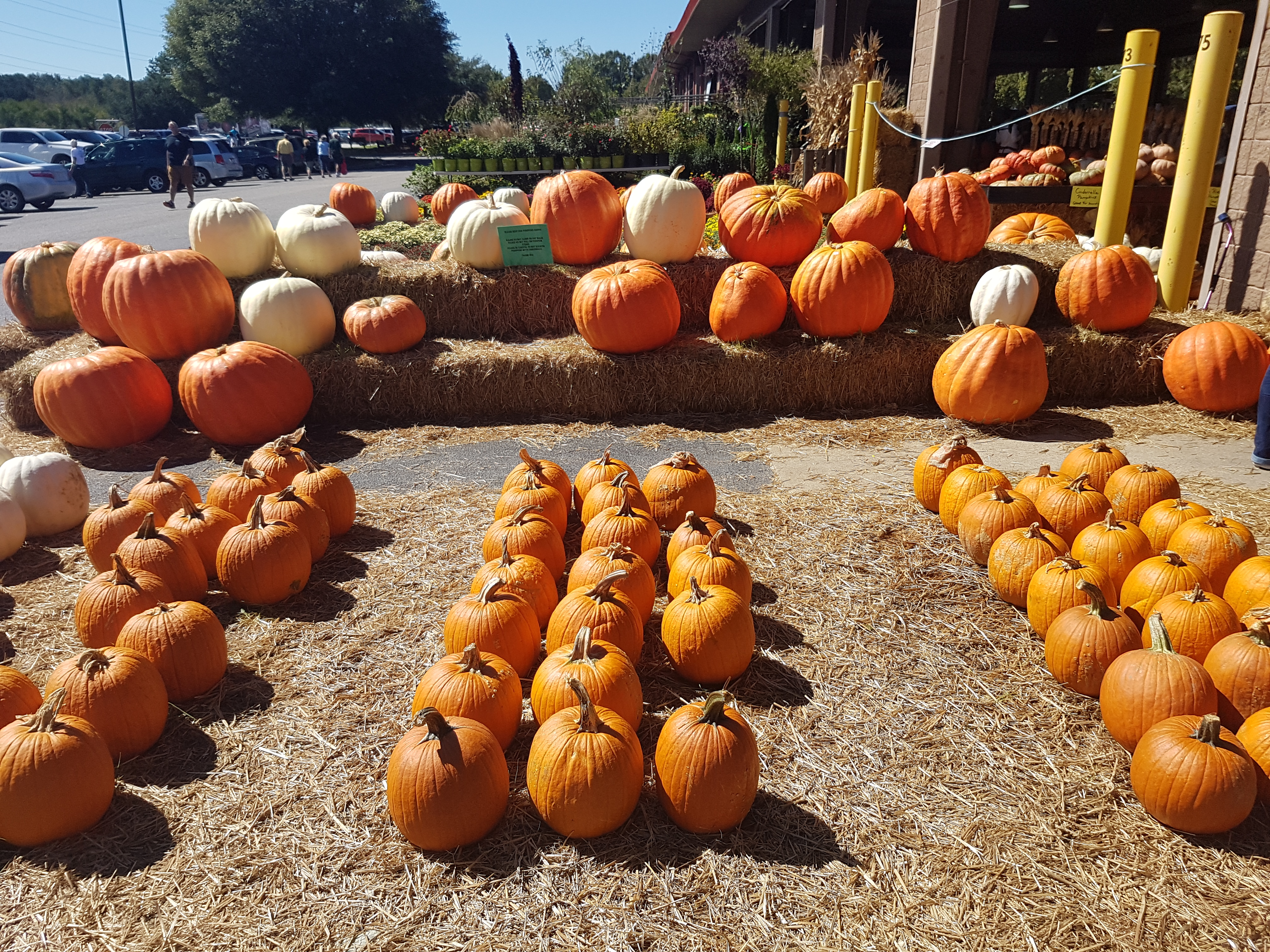 raleighstatefarmersmarketpumpkins2 Cooksister Food, Travel, Photography