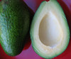 Avos