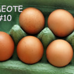 EoMEoTE#10 – The Cat in the Hat edition