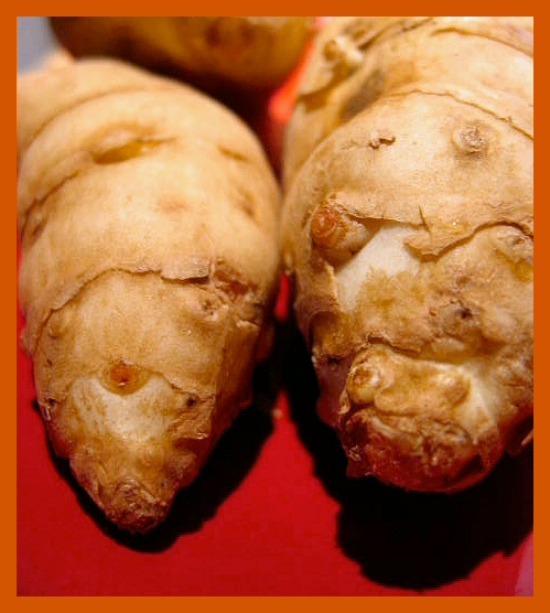 Jerusalem artichokes