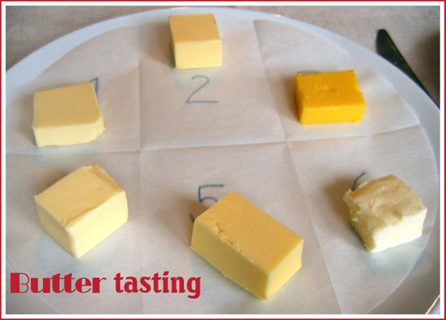 Cubes of butter for a butter tasting