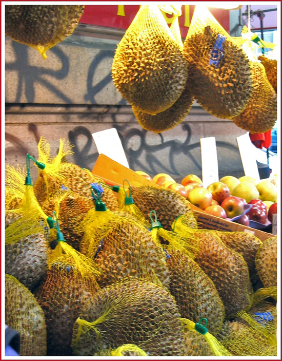 Durian fruit