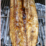 Snoek:  scrumptious, sustainable – and sold in the UK