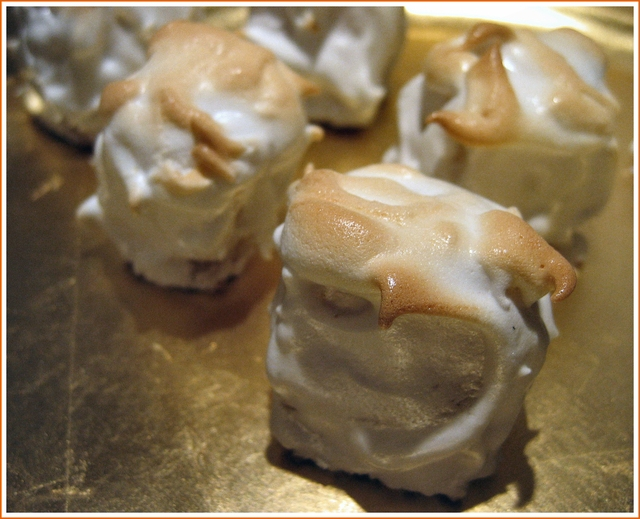 lemon-meringue-baked-alaskas © J Horak-Druiff 2006