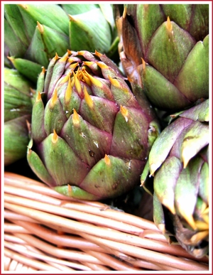 20070407_artichokebasket