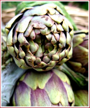 20070407_artichokesingle