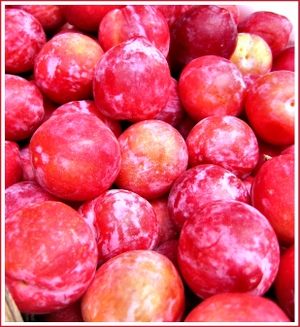 20070407_plums