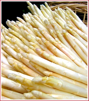 20070407_white_asparagus