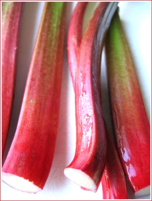 20070409_rhubarb