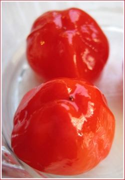 20070529peppadews