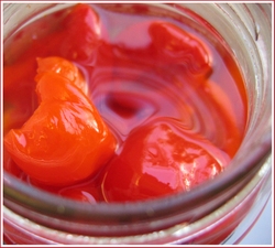 20070529peppadewsjar