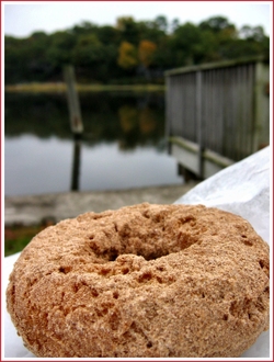 20061019_doughnut