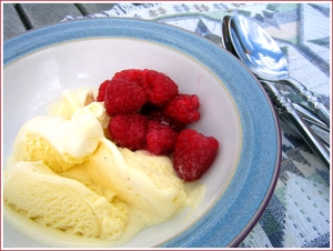 20070812_raspberriesicecream_2