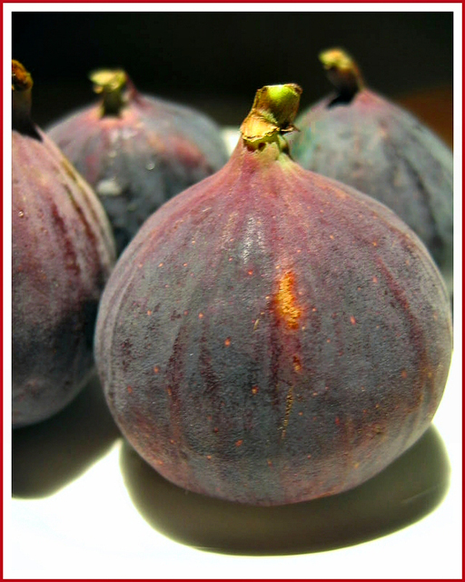 Purple figs