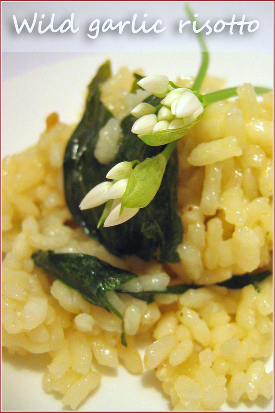 Wild garlic risotto