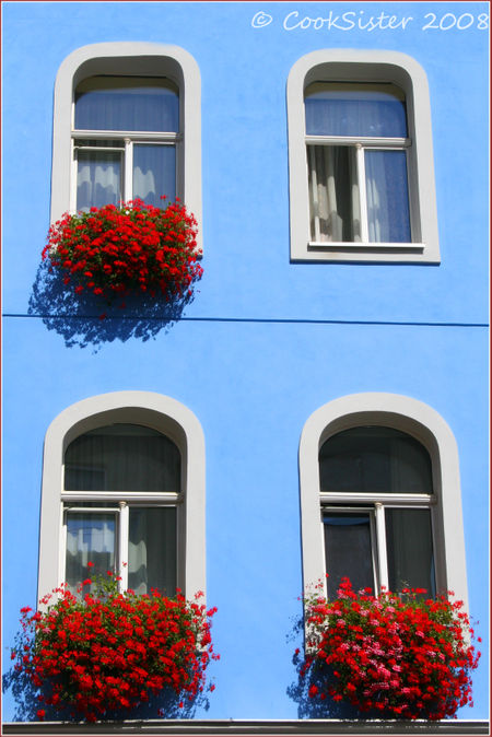 Blue-wall-Red-geraniums