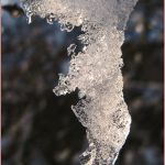 Saturday Snapshots #27