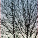Saturday Snapshots #25