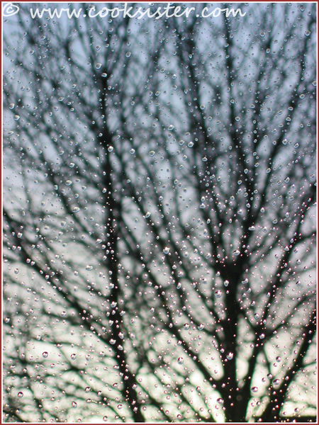 Rainy-window