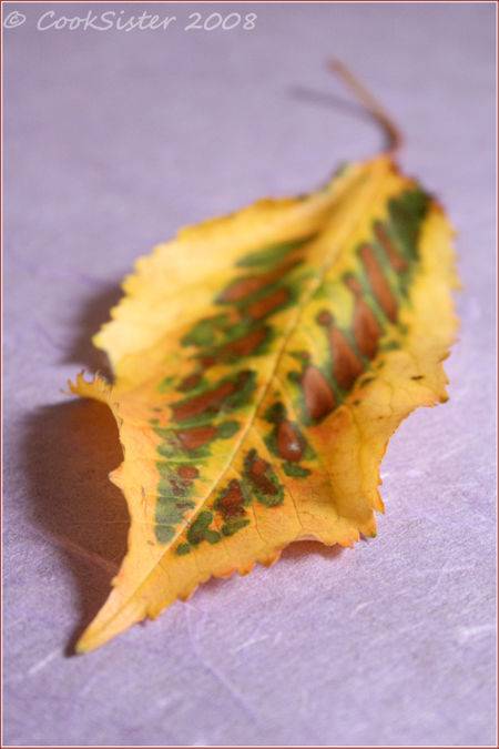 Yellow-Leaf