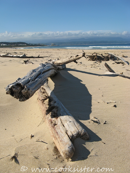 Robberg-Beach-Driftwood