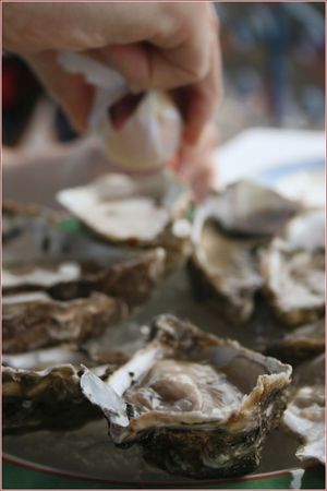 SumaOysters2Web