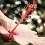 Saturday Snapshots #44