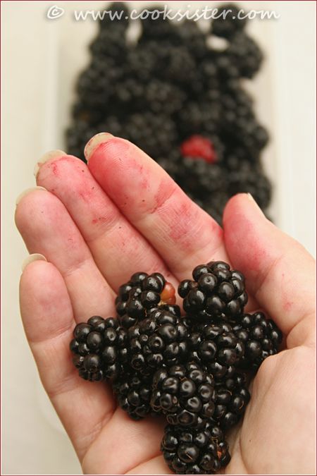 BlackberriesHandWeb