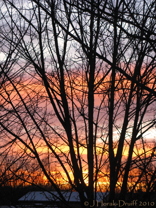 Snowy sunrise - London, January2010