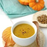 ThaiPumpkinSoup © J Horak-Druiff 2010