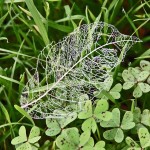 Saturday Snapshots #123