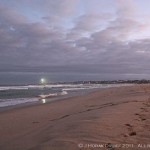 Saturday Snapshots #131
