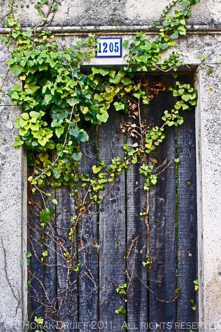 DerelictDoorWithIvy © J Horak-Druiff 2011