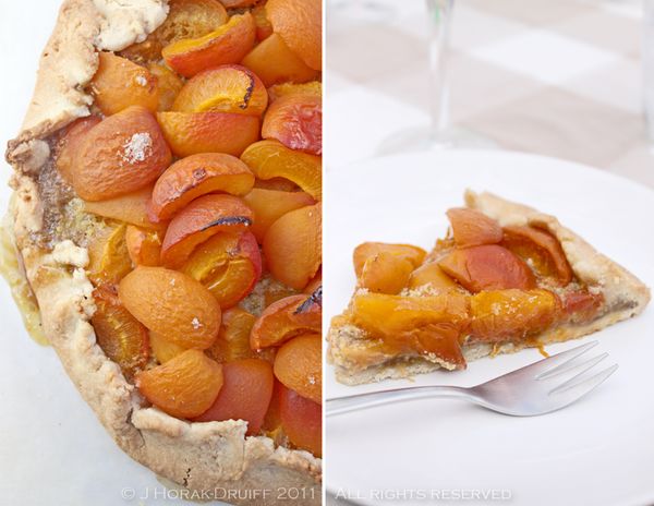 ApricotGaletteFinal