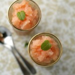 Ruby grapefruit & Campari granita