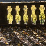 Saturday Snapshots #167