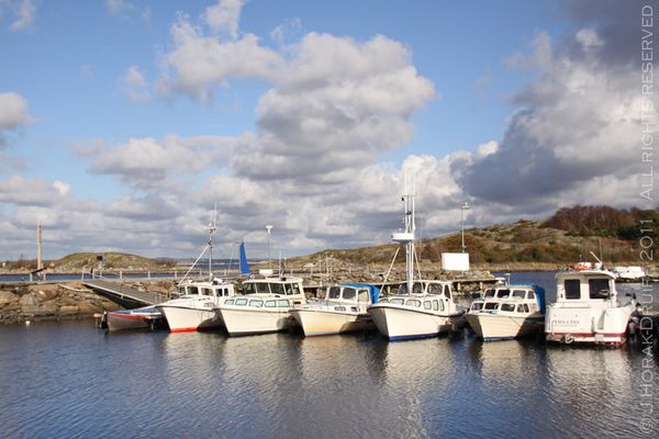 SouthKosterIsland © J Horak-Druiff 2013