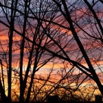 Saturday Snapshots #179